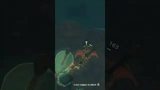 Aerocuda Snipe! (The Legend of Zelda: Tears of the Kingdom)