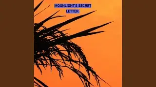 Moonlight&rsquo;s Secret Letter
