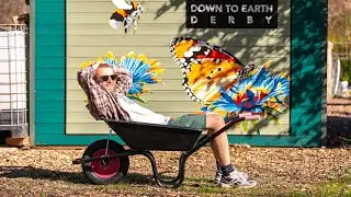 The Down to Earth Project - Part 2