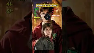 Think you can guess these Harry Potter Quiz&hellip;😱? #quiz #trivia #shorts