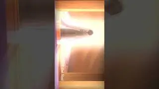 Wedding Cuts - From All Animated Movies