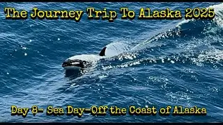 Day 8 Our Journey to Alaska Orcas Spotted
