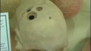 Тринадцать монологов &mdash; Звездный путь: Путешествие домой 🐳