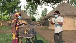 How to Protect Your Chickens from Newcastle Disease in English (USA)