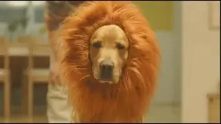 Remember These 2016 Commercials?