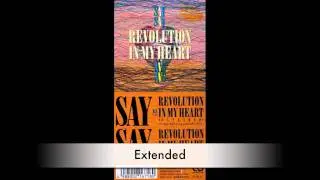 Say Say - Revolution In My Heart (Extended)