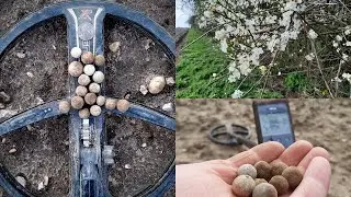 Musket Ball Metal Detecting