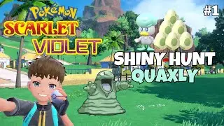 🔴 ✨D&iacute;a 1 BUSCANDO A QUAXLY SHINY ✨LUEGO GRIMER SHINY del d&iacute;a