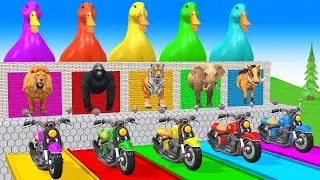 Long Slide Game With Elephant Lion Tiger Gorilla - 3d Animal Game - Funny 3d Animals