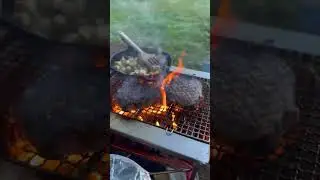 World's Greatest Camping Grill (Snow Peak Takibi Grill)