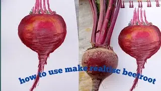how to make realistic  beetroots / How do you paint beets in watercolor / vegetables still life art