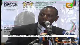 Stimulus Plan Rollout