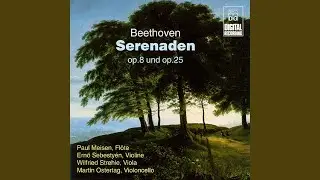 Serenade in D Major, Op. 8: I. Marcia. Allegro - Adagio