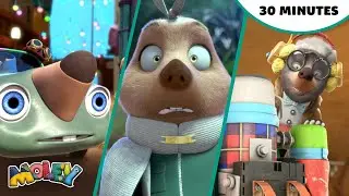 Moley and Friends: 30 Minutes of Fun - A Book By Its Cover Part 1 | Molecare Plan and more! 📺