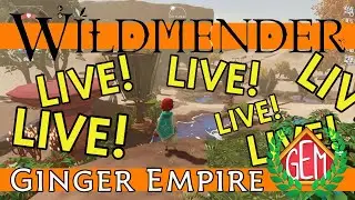 🔴Wildmender Live! Desert Survival and Exploration!🔴
