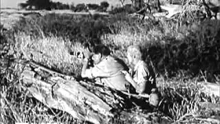 На сафари (1957)
