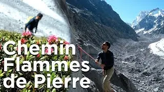 Les Flammes de Pierre Face Ouest des Drus refuge de la Charpoua nouveau chemin Chamonix Mont-Blanc