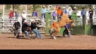Wild Horse Race 2019  Prewitt,  NM