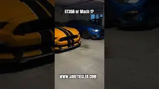 GT350 Vs Mach 1