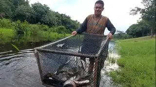 Pescaria no sítio 