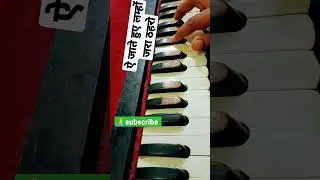 ae jate hue lamho jara thahro | border movie | #harmonium #keyboard #instrumental #shorts