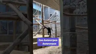 Op deze aanbieding van Kruidvat is Freek Vonk zeker jaloers! 👀