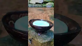 How To Make Coconut Soap Holder, Easy To Make-DIY 💡#shorts #short #shortfeed