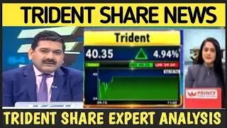 Trident Share today latest News,Trident Share Price Target , Share Expert Analysis Price Prediction