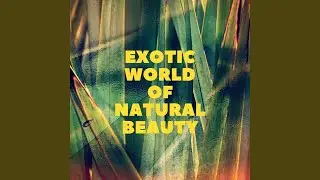 Tropical New Age