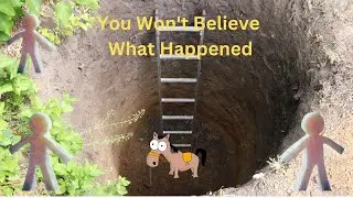 short story | The Donkey in the Pit: A Tear-Jerking Tale of Hope and Redemption