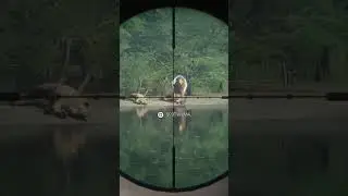 My THIRD Diamond Lion on theHunter: Call of the Wild!! #callofthewild #hunting #cotw