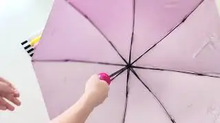 Sixfire Amazon new kitchen products /amazon space saving kitchen Bottle Shape Umbrella