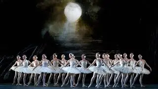 Swan Lake &ndash; Act II corps de ballet (The Royal Ballet)