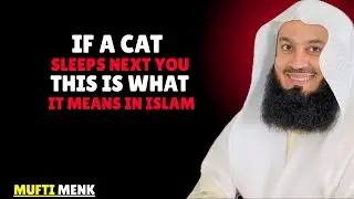 If a Cat Chooses to Sleep Beside You, This Is Its Meaning in Islam | Mufti Menk