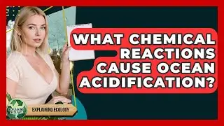 What Chemical Reactions Cause Ocean Acidification? - Explaining Ecology