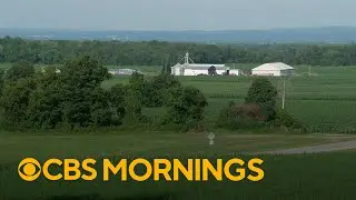 With new tariffs set to take effect, here's how farmers and businesses are being impacted