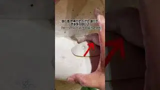 클라이밍 잡기술 #bouldering #climbing #클라이밍 #굿초크