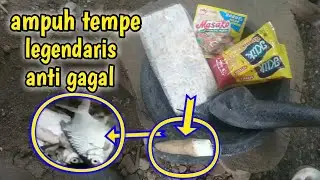 Cara membuat umpan tempe legendaris