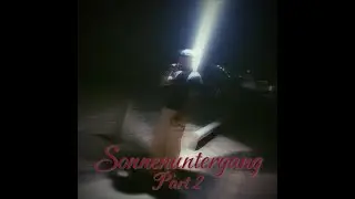 Sonnenuntergang Part 2 (prod. classik x epiphxny)