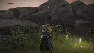 Faraam from Dark Souls 2 in Elden Ring