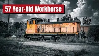 Classic EMD Locomotive & BNSF Train Action in Westmont & Downers Grove &ndash; Metra, Freight & Amtrak!