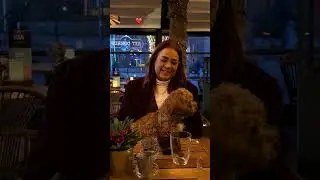Dag vlog van: 21 december 2025