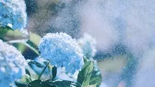 𝐖𝐏𝐒 𝐌𝐀𝐈𝐋 𝐌𝐄𝐑𝐆𝐄𝐃 𝐁𝐘 𝐆𝐑𝐎𝐔𝐏 𝟒