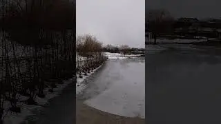 Check out this frozen River/ man made pond in winter Canada wonderland #youtubeshorts #shortsvideo