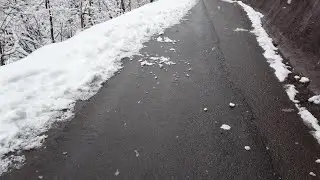 Snow Falling Stock Video
