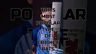 Top 5 Popular Type of Cricket Bats ❤️ #shorts #cricket #cricketshorts #cricketbat #top