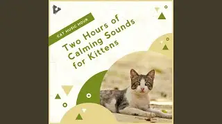 Background Piano for Cats