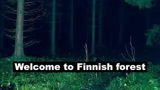 Dark forest walk with MrSorbias