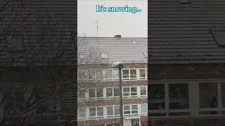 Snow! #snow #snowfall #schnee #schneefall #kiel #winter #wintermagic #winterzauber #reels