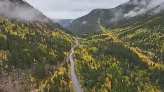 Latest Headlines | Tickets for illegal parking on Guanella Pass total more than $11,000